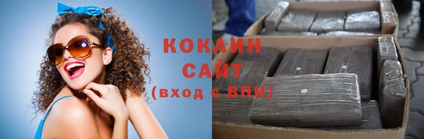 сатива Алзамай