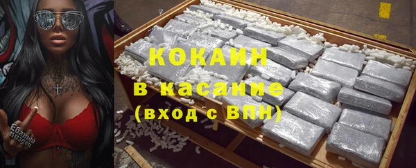 шишки Абинск