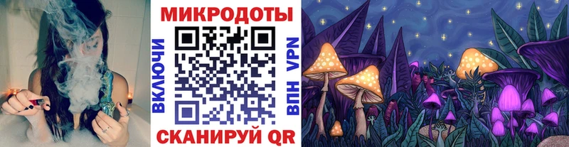 omg маркетплейс  купить закладку  Гаджиево  Псилоцибиновые грибы Cubensis 