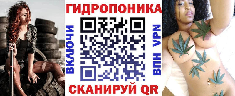Шишки марихуана марихуана что такое наркотик Гаджиево